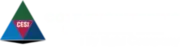 Cole Engineering Services Inc logo