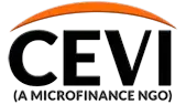 Community Economic Ventures, Inc. (cevi)