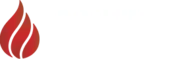 Control Fire Systems logo