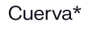 Cuerva logo