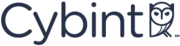 Cybint logo