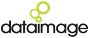 Data Image Group Ltd logo