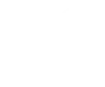 Dave Parish Custom Homes logo