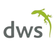 Developing World Systems Limited