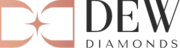 Dew Diamonds Private Limited logo