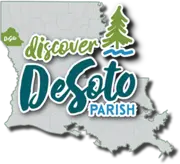 Discover DeSoto logo