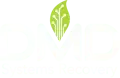 DMD Systems Recovery