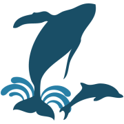 Dolphin Safari logo