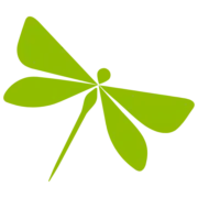 Dragonfly Internet