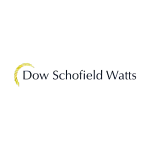 DSW Capital logo