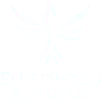 Elderwood Academy