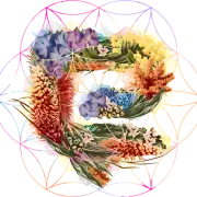 Elements Music & Arts Festival logo