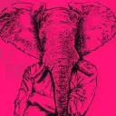 Elephant Skin logo