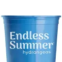 Endless Summer