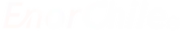 Enor Chile logo