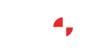 ESO Surveyors logo