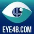 Eye for Business logo