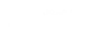 Fidel Systems logo
