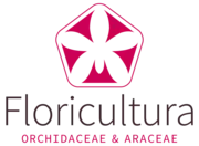 Floricultura Y Compañía Limitada logo