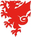 Football Association of Wales (FA Wales) logo