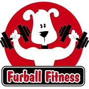 Furball Fitness Dog Walking and Pet Care logo