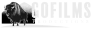 GoFilm logo