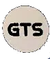 GTS Online logo