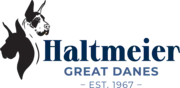 Haltmeier Great Danes logo