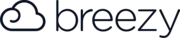 Handsome Inc logo