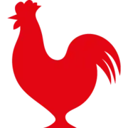 Houston TX Hot Chicken logo
