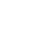 Ilegal Mezcal logo