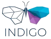 Indigo Innovations