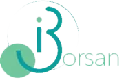 Informática Borsan S.L. logo