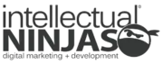 Intellectual Ninjas logo