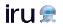 Iru (formerly Kandji) logo