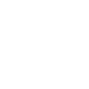Kali Zoi logo