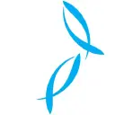 King Salmon Sales logo