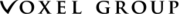 Voxel Group