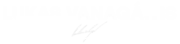Lukas Vanagaitis logo