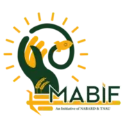 Mabif logo