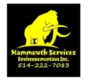 Mammouth Environmental Services logo