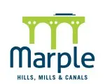 Marple Vision Team logo