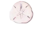 Marry Me Mauritius logo
