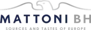 Mattoni 1873 logo