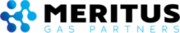 Meritus Texas logo
