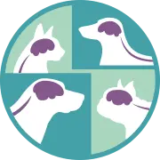 Minnesota Veterinary Neurology (mvn) logo