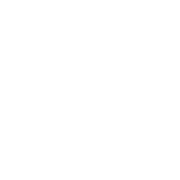 Mojo Wheels logo