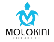 Molokini Consulting logo