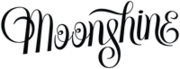 MoonShine logo