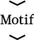 Motif Photos